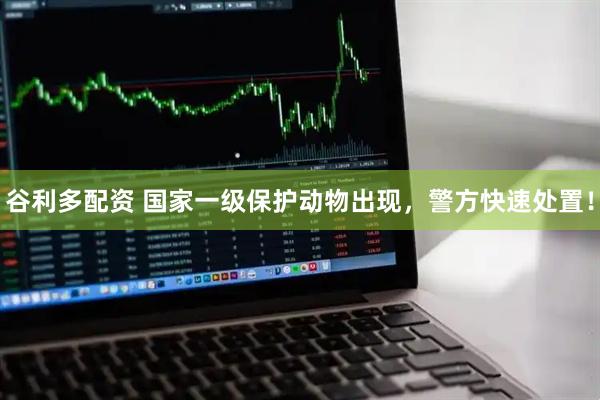 谷利多配资 国家一级保护动物出现，警方快速处置！
