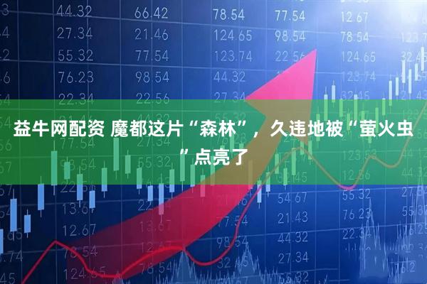 益牛网配资 魔都这片“森林”，久违地被“萤火虫”点亮了
