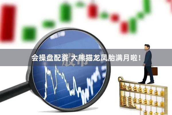 会操盘配资 大熊猫龙凤胎满月啦！
