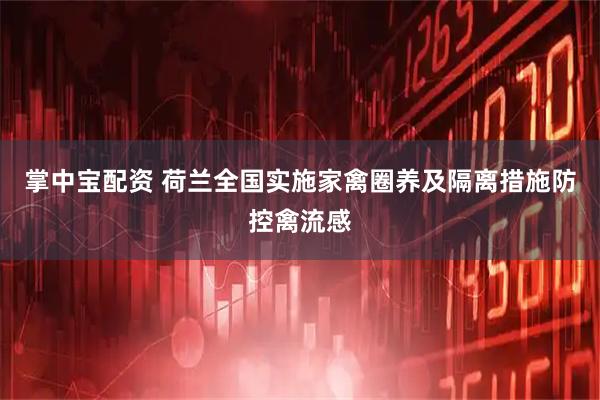 掌中宝配资 荷兰全国实施家禽圈养及隔离措施防控禽流感